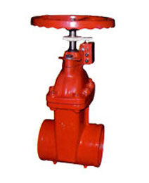 RVGS彈性座封閘閥(fa)